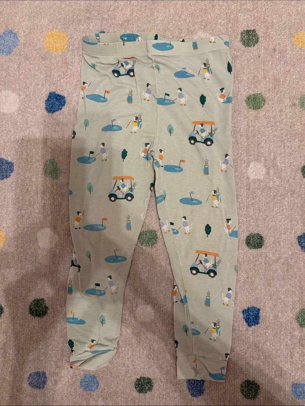 Magnetic Me Pajama Set in Fairway Fetch Print, size 2T